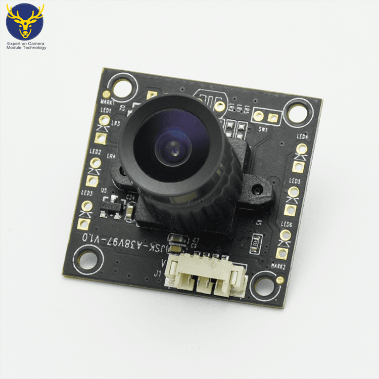 Transparent video zoom module