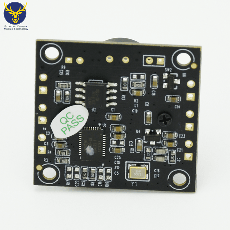 Transparent video zoom module